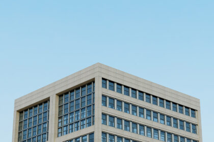 Arvonlisäverotuksen huomiointi tilintarkastuksessa, VAT considerations in auditing